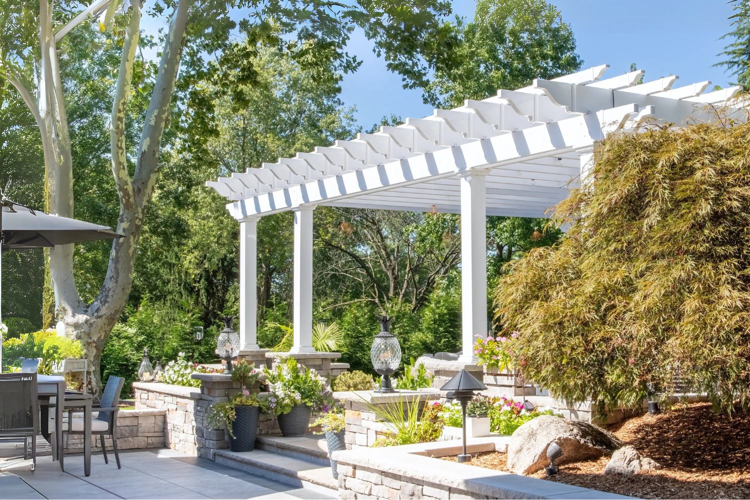 Side view of Carolina pergola in Garden with plants
